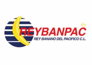 logo_reybanpac
